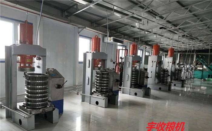 液壓榨油機(jī)生產(chǎn)線(xiàn).jpg